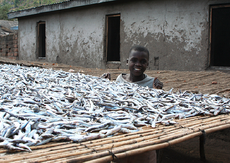 MALAWI SUPPORT ACTIVITY