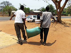 MALAWI SUPPORT ACTIVITY