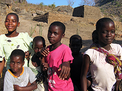 MALAWI SUPPORT ACTIVITY