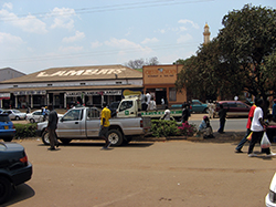 MALAWI SUPPORT ACTIVITY