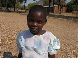 MALAWI SUPPORT ACTIVITY